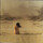 Cover for Diamonds on the Inside by Ben Harper